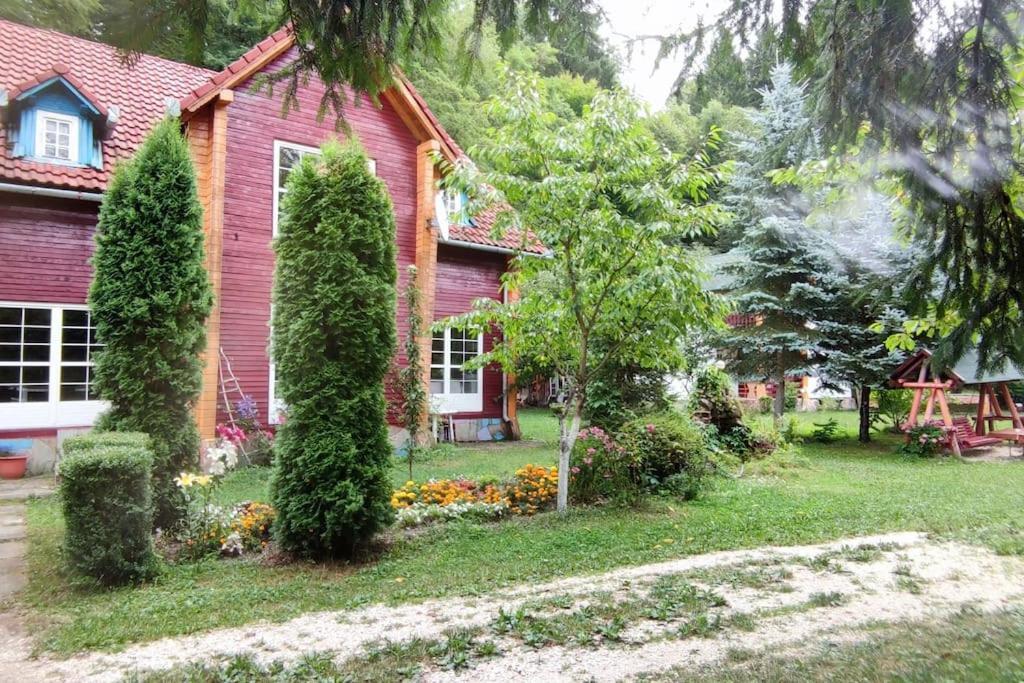 Вилла Cabanita Инторсура-Бузэулуй Экстерьер фото