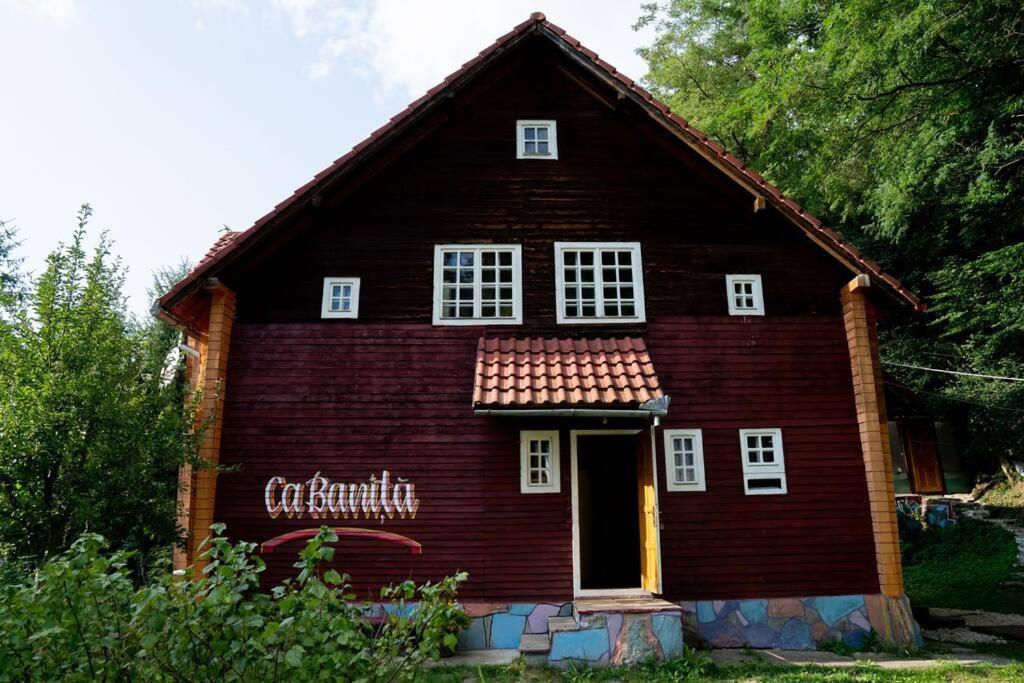 Вилла Cabanita Инторсура-Бузэулуй Экстерьер фото